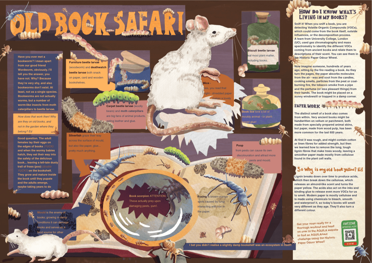 Aquilla magazine Old Book Safari editorial spread.