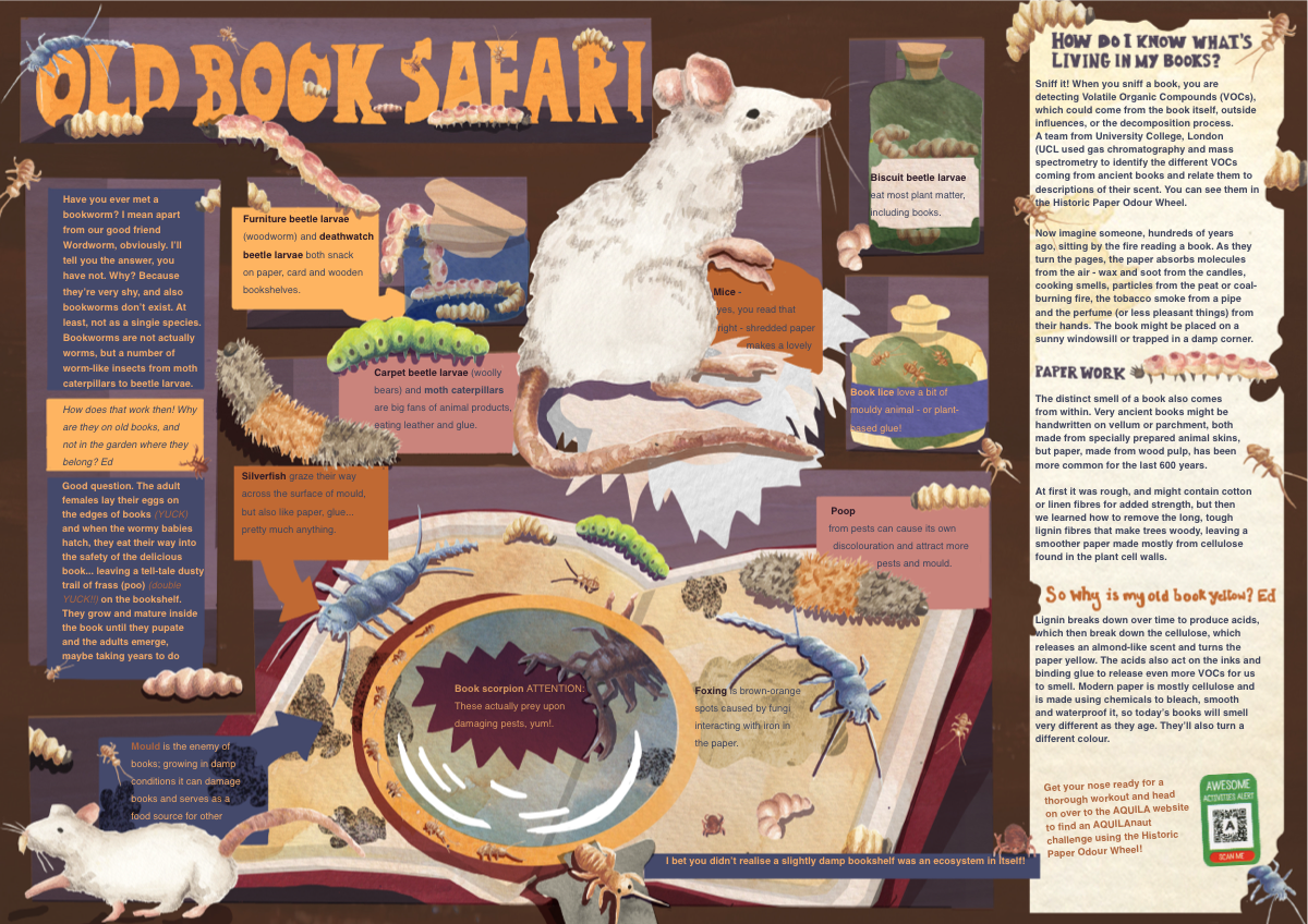 Aquilla magazine Old Book Safari editorial spread.
